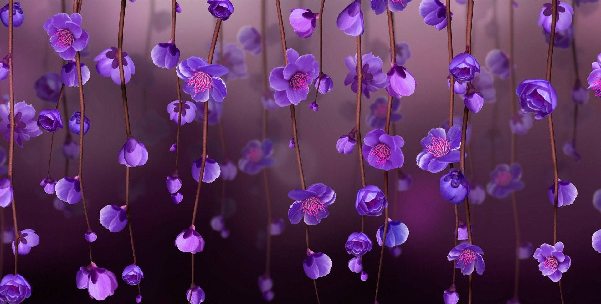 Purple Flowers Hanging From A Purple Curtain Background