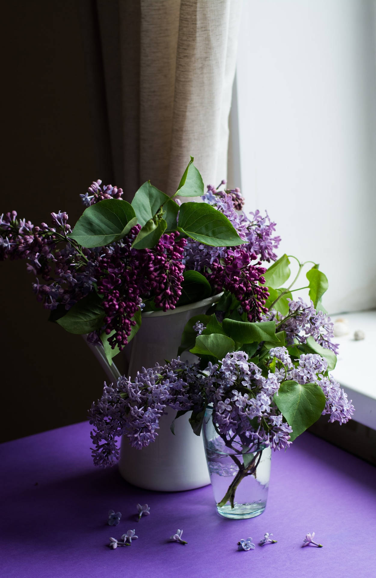 Purple Flowers Inside A Vase Iphone Background