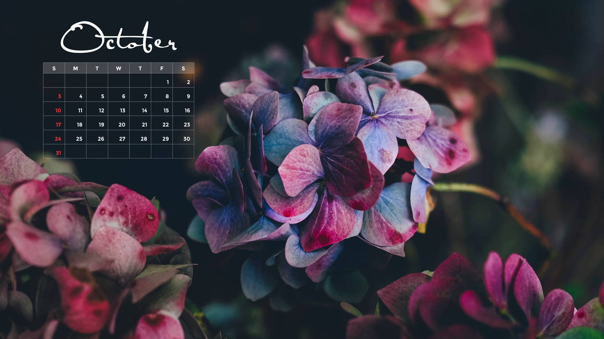 Purple Flowers October Calendar 2021 Background