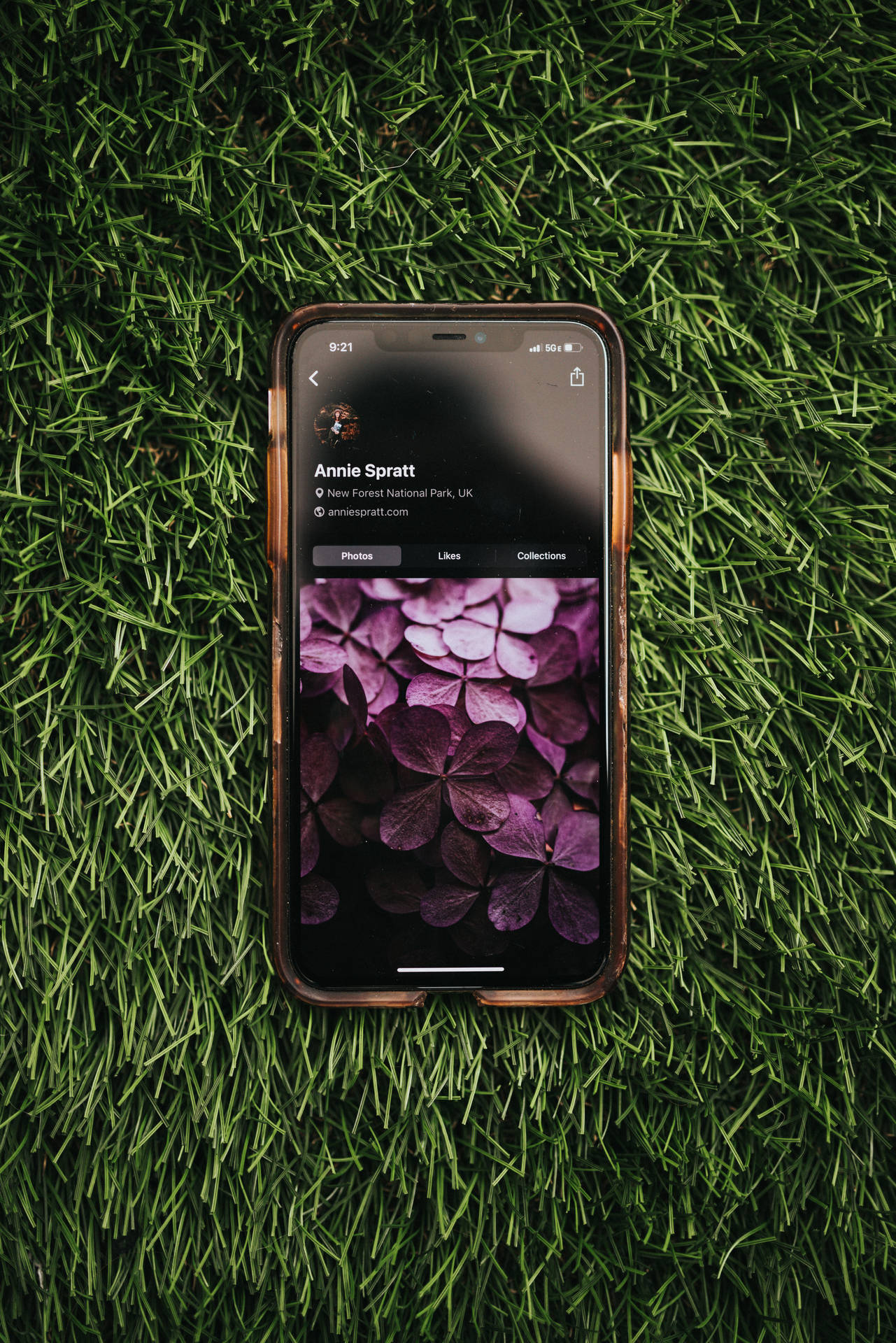 Purple Flowers On Ios Iphone Background