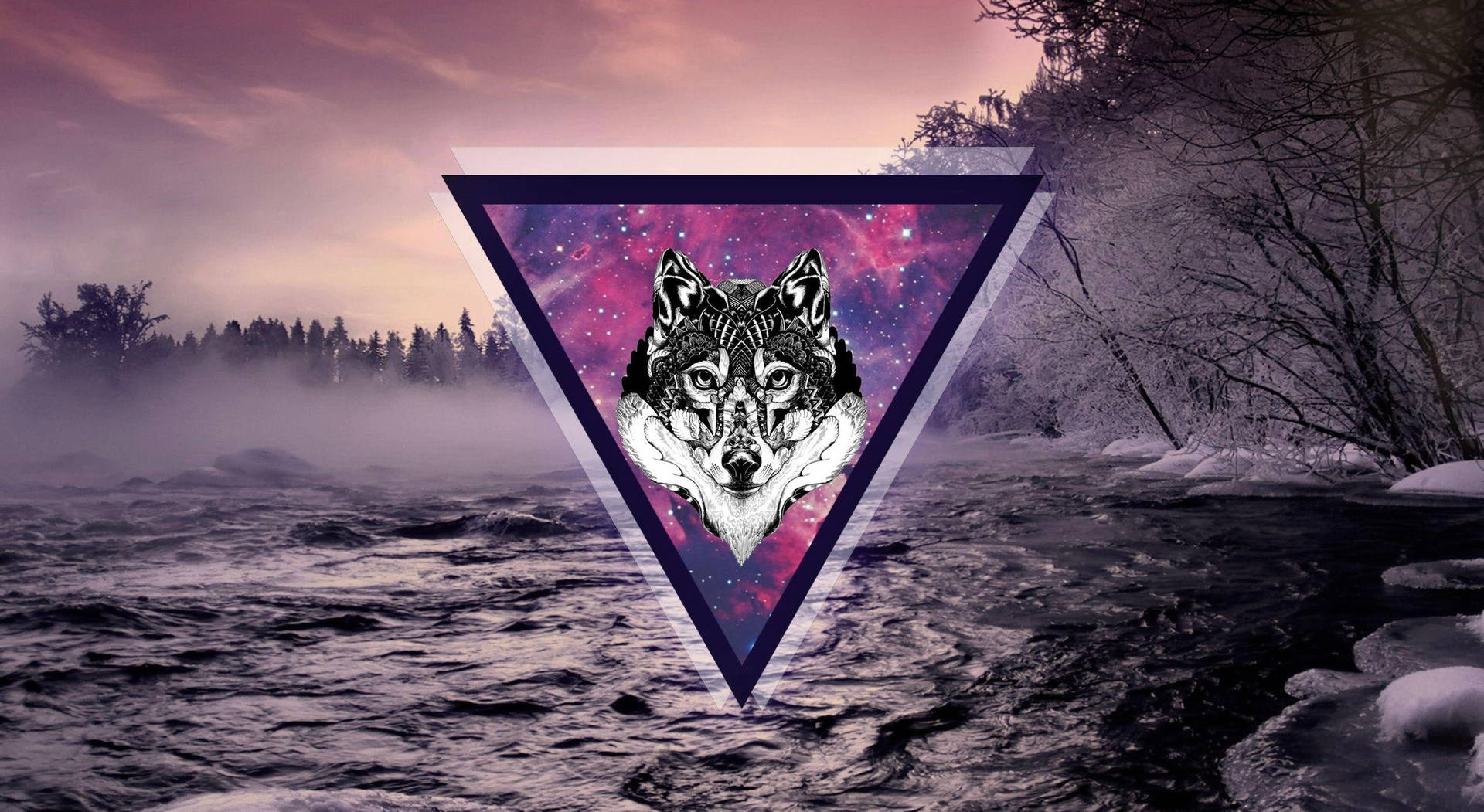 Purple Galaxy Wolf Background