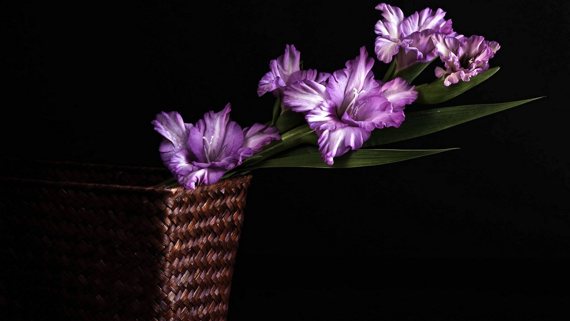 Purple Gladiolus In A Basket Background