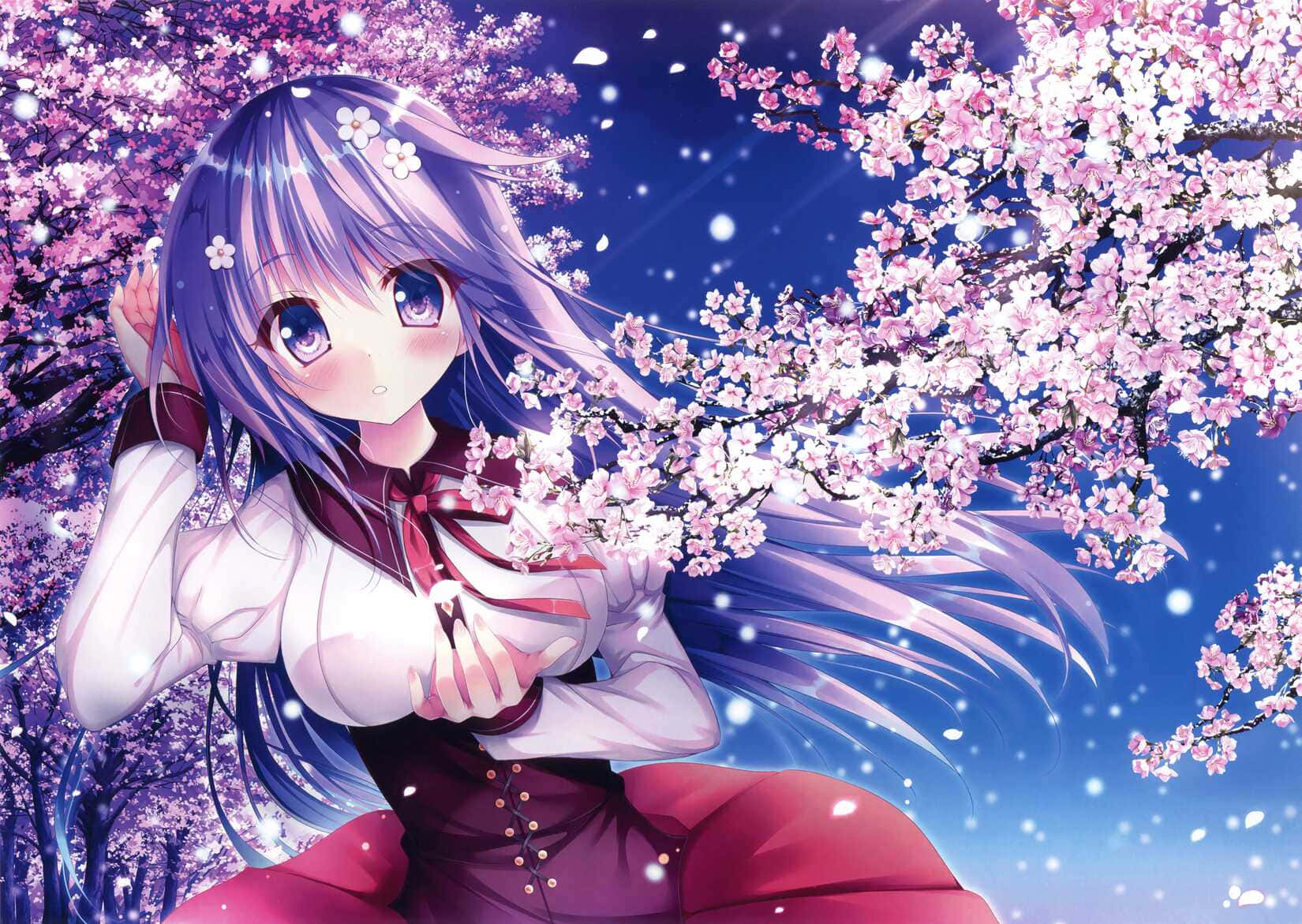 Purple Haired Anime Girl Cherry Blossoms