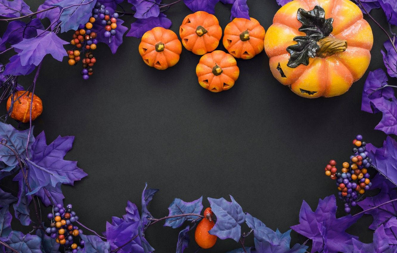 Purple Halloween Pumpkin Background