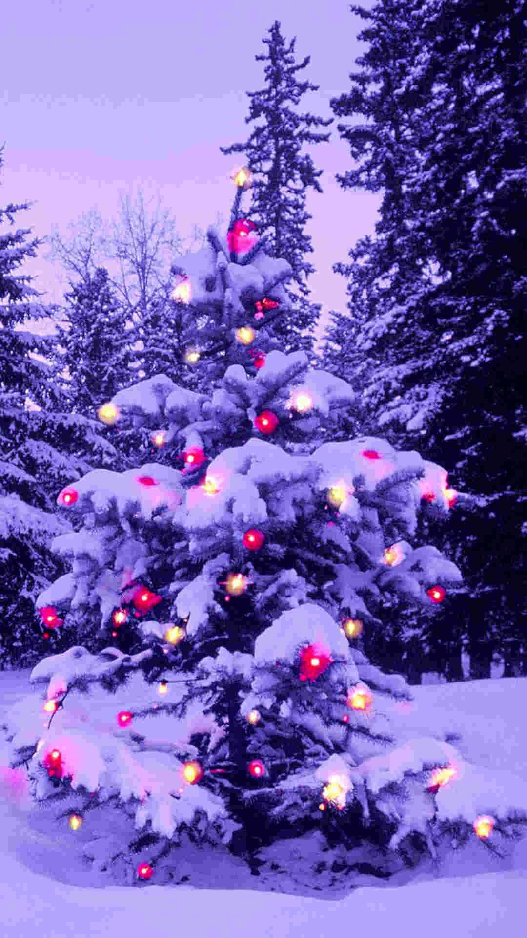 Purple Iphone Christmas Snow Background