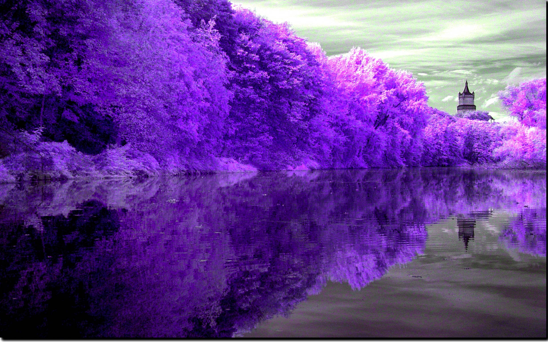 Purple Lake Reflection Background