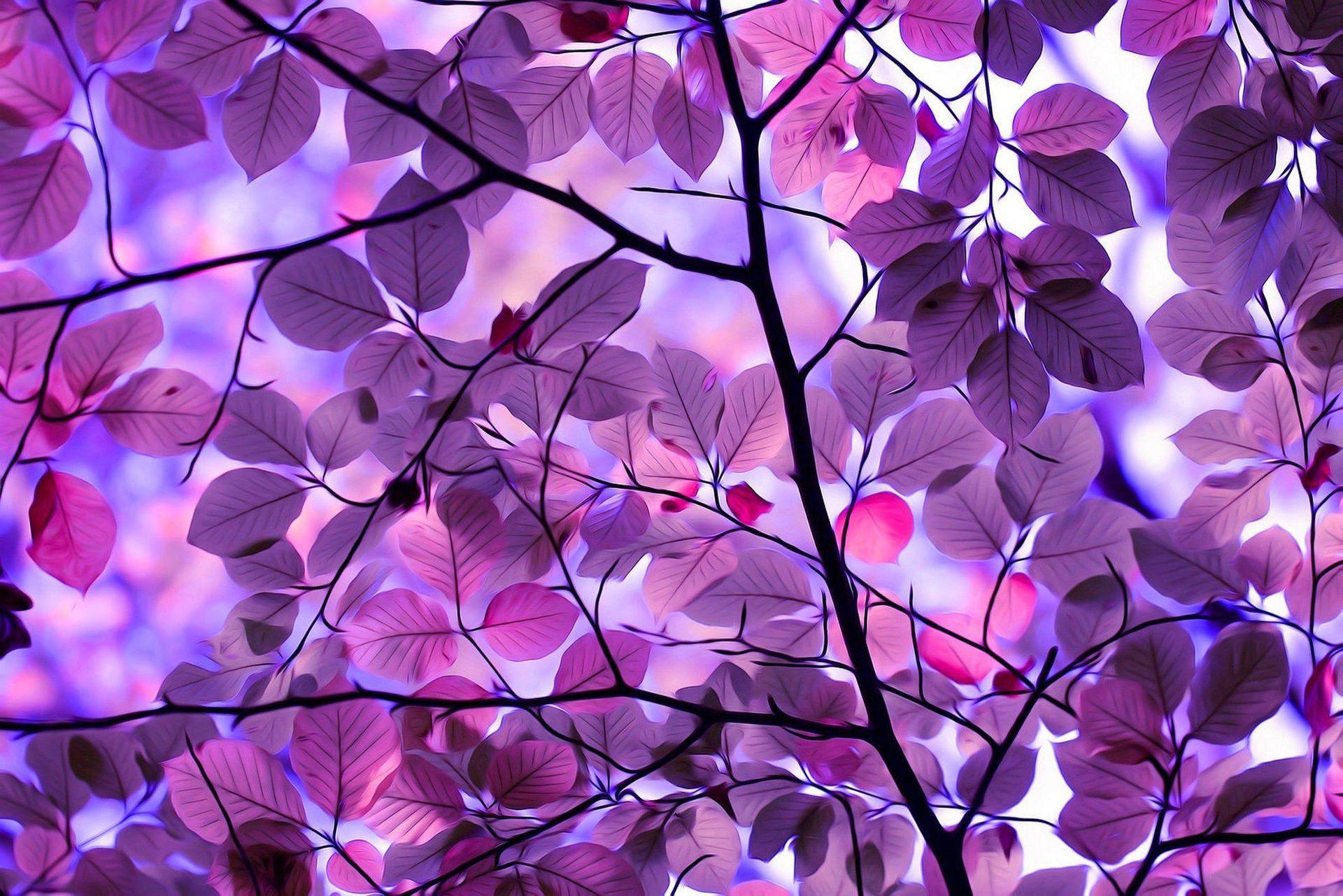 Purple Leaves And Branches Background