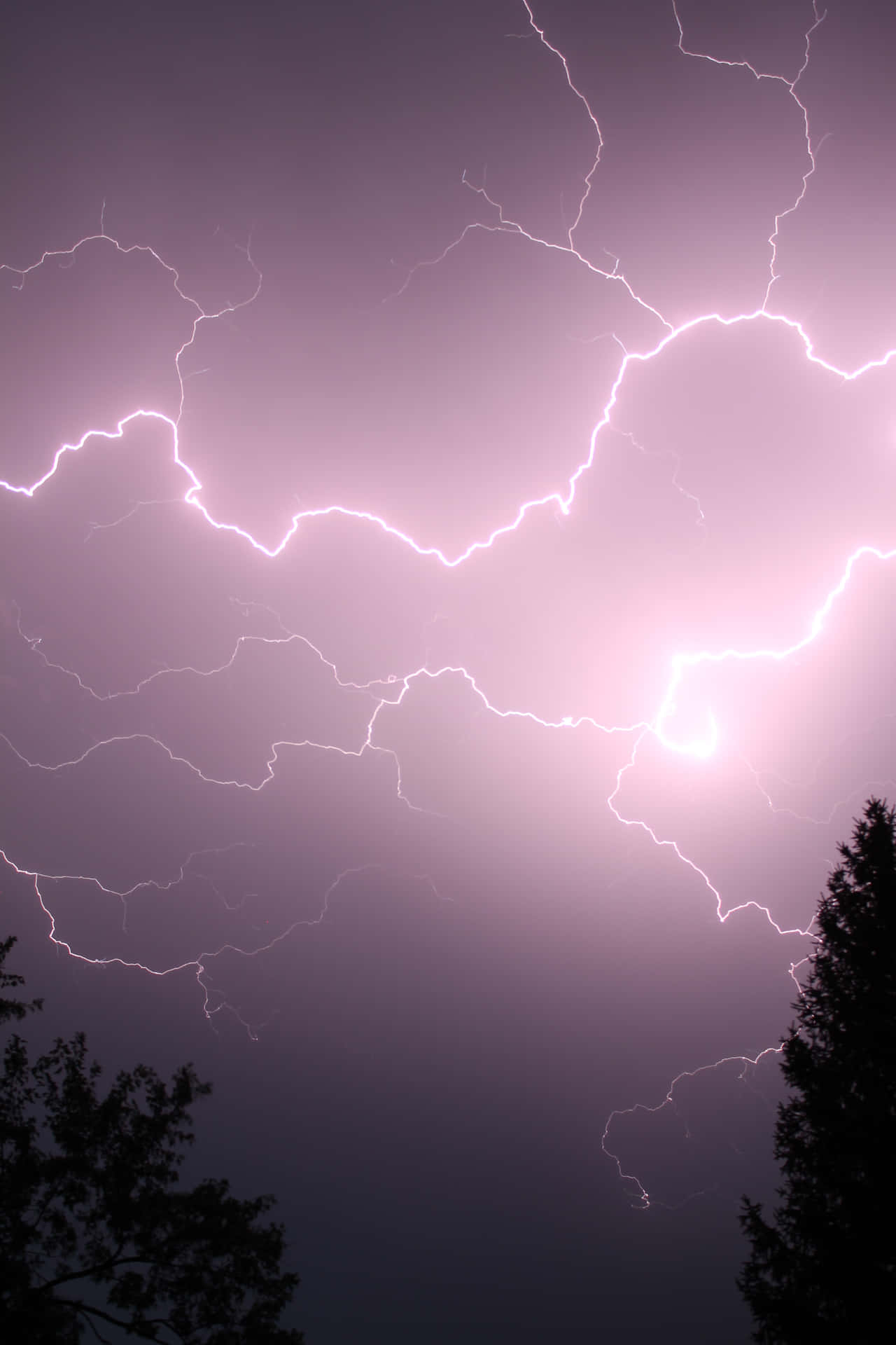 Purple Lightning Near Trees Background