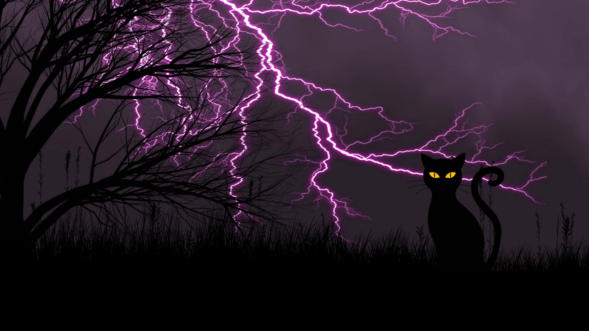 Purple Lightning With Black Cat Background