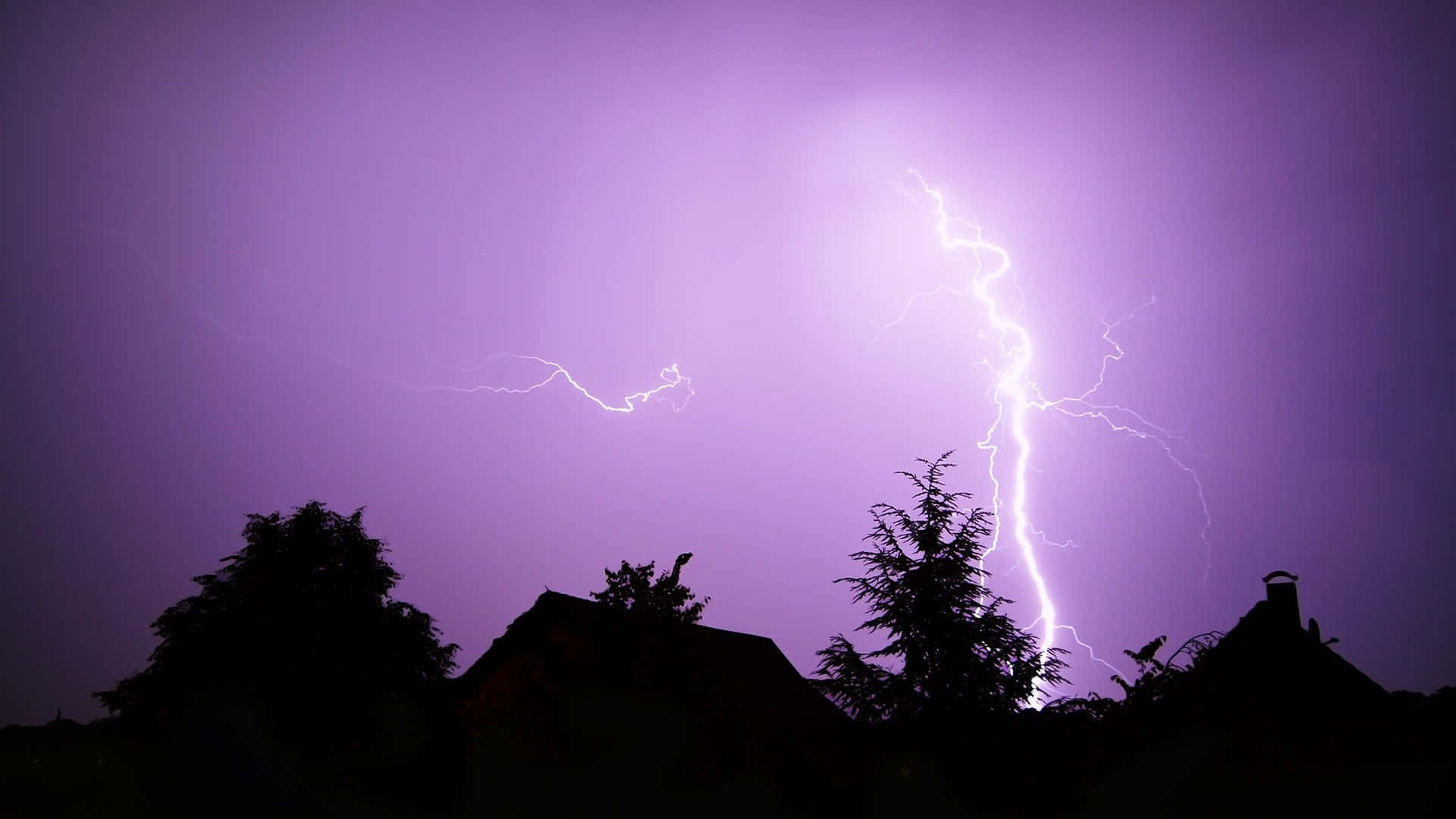 Purple Lightning With Dark Trees Background