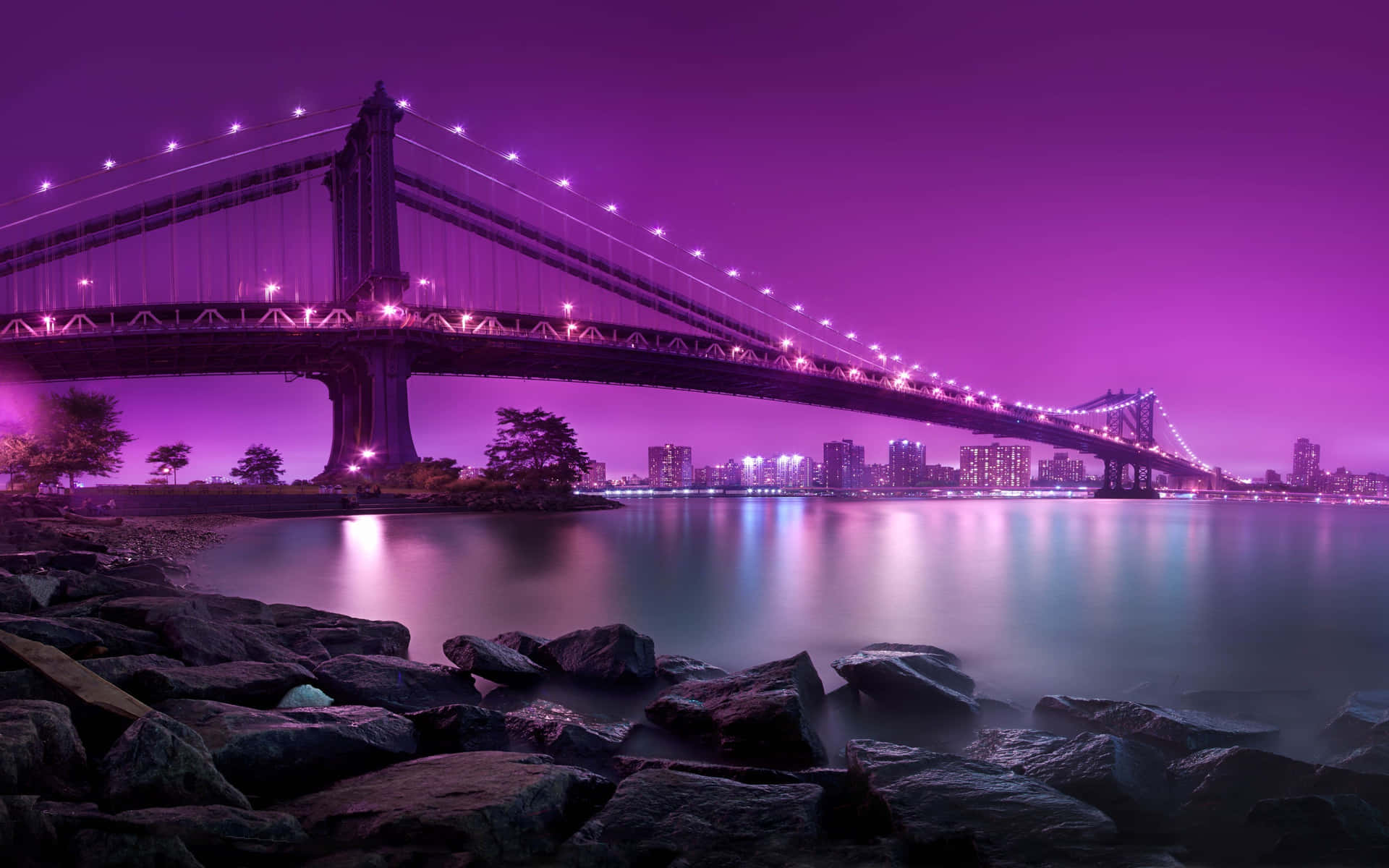 Purple Lights And Rocks On The Water