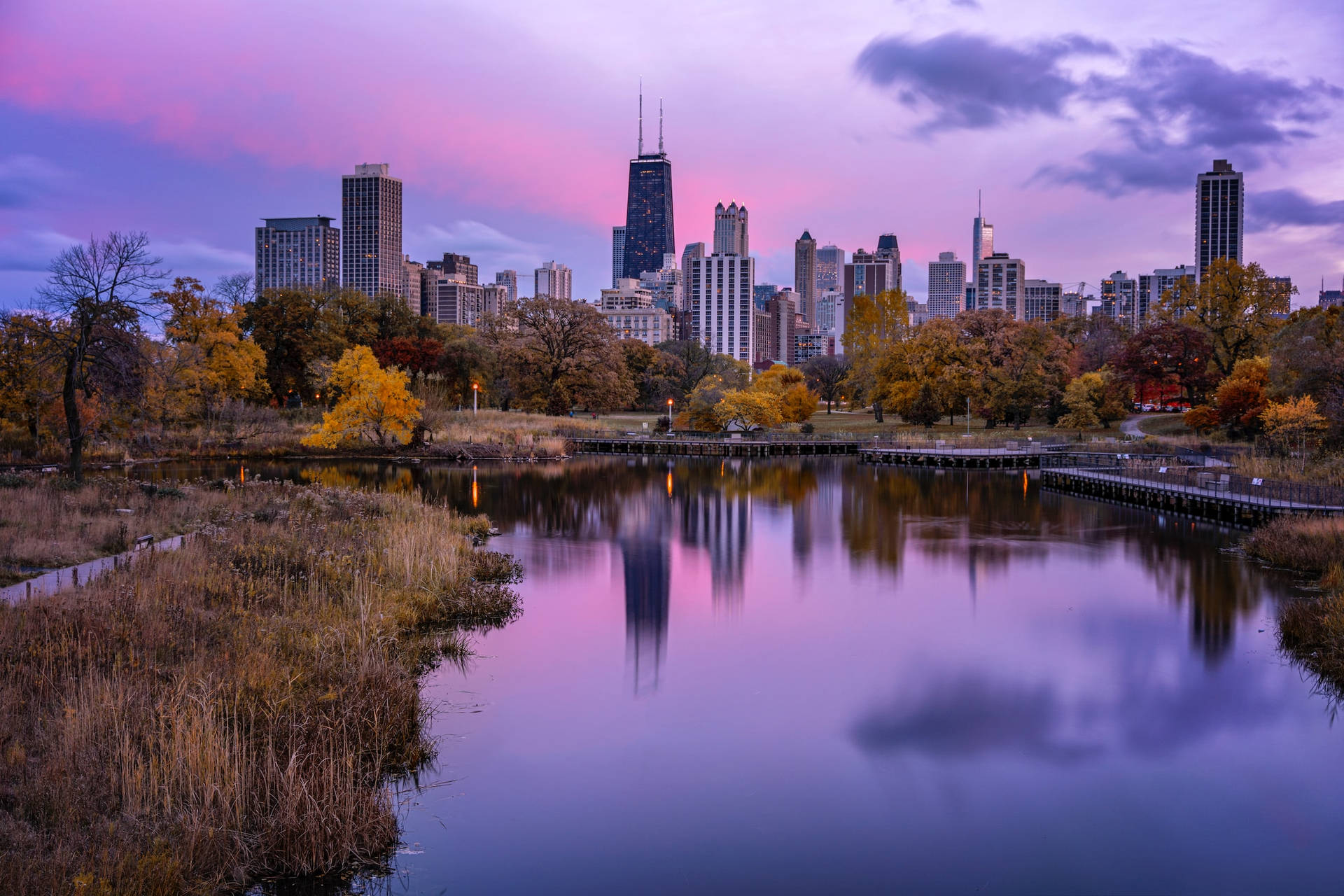 Purple Lincoln Park Chicago Skyline Background