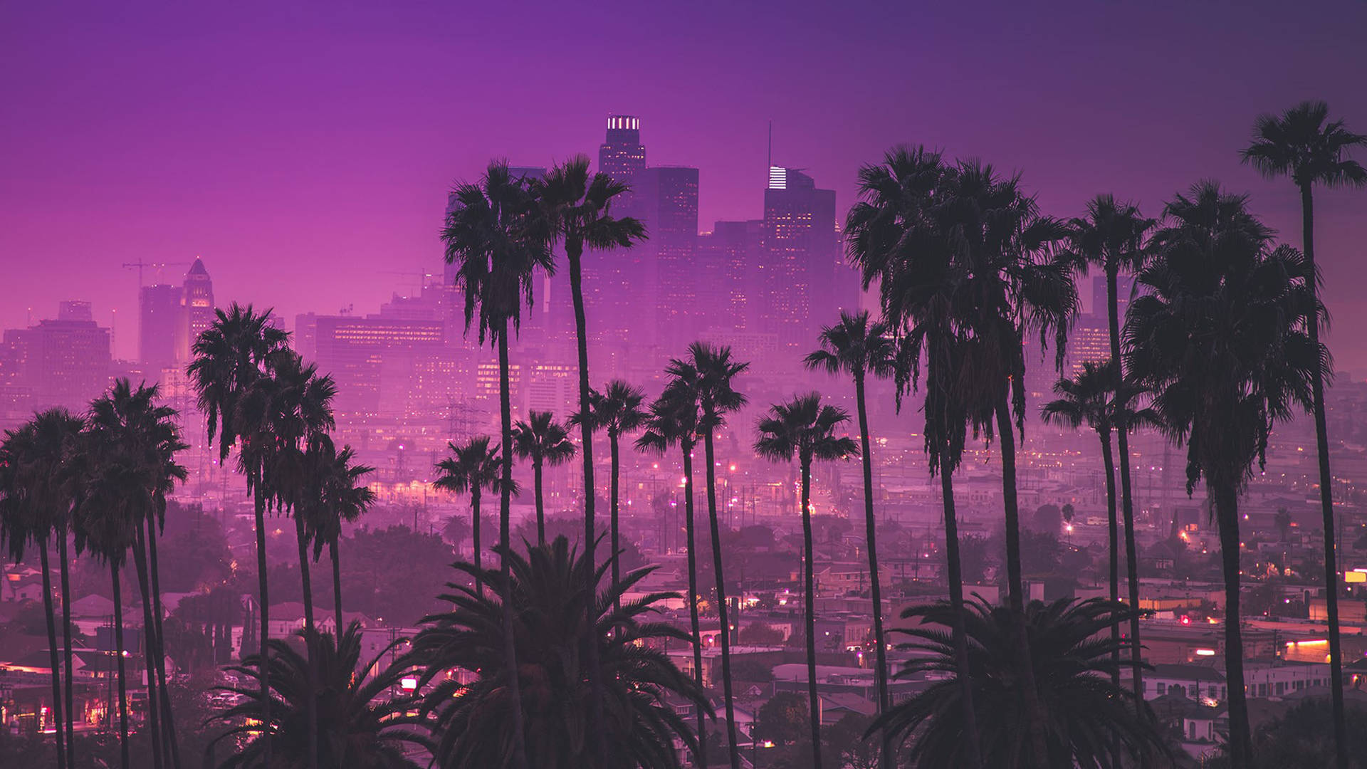 Purple Los Angeles Sunset Background