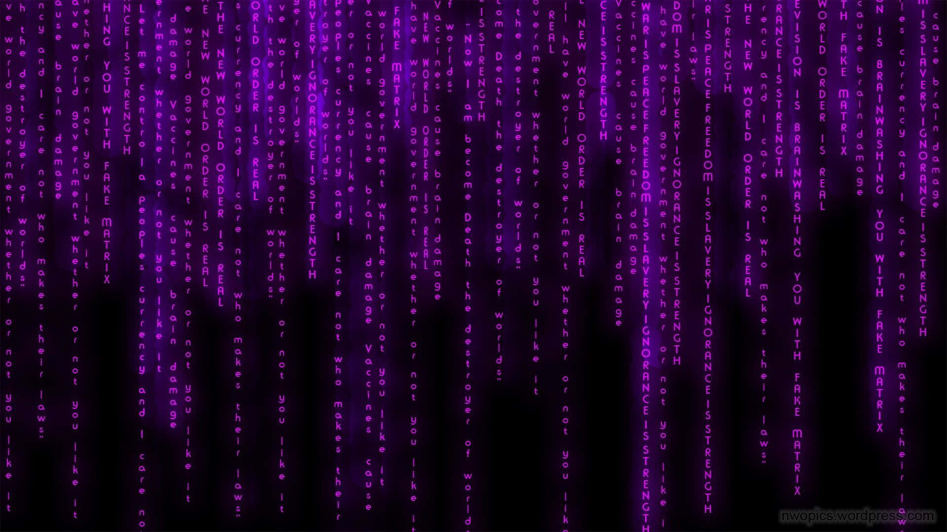 Purple Matrix Wallpapers Hd Wallpapers Background