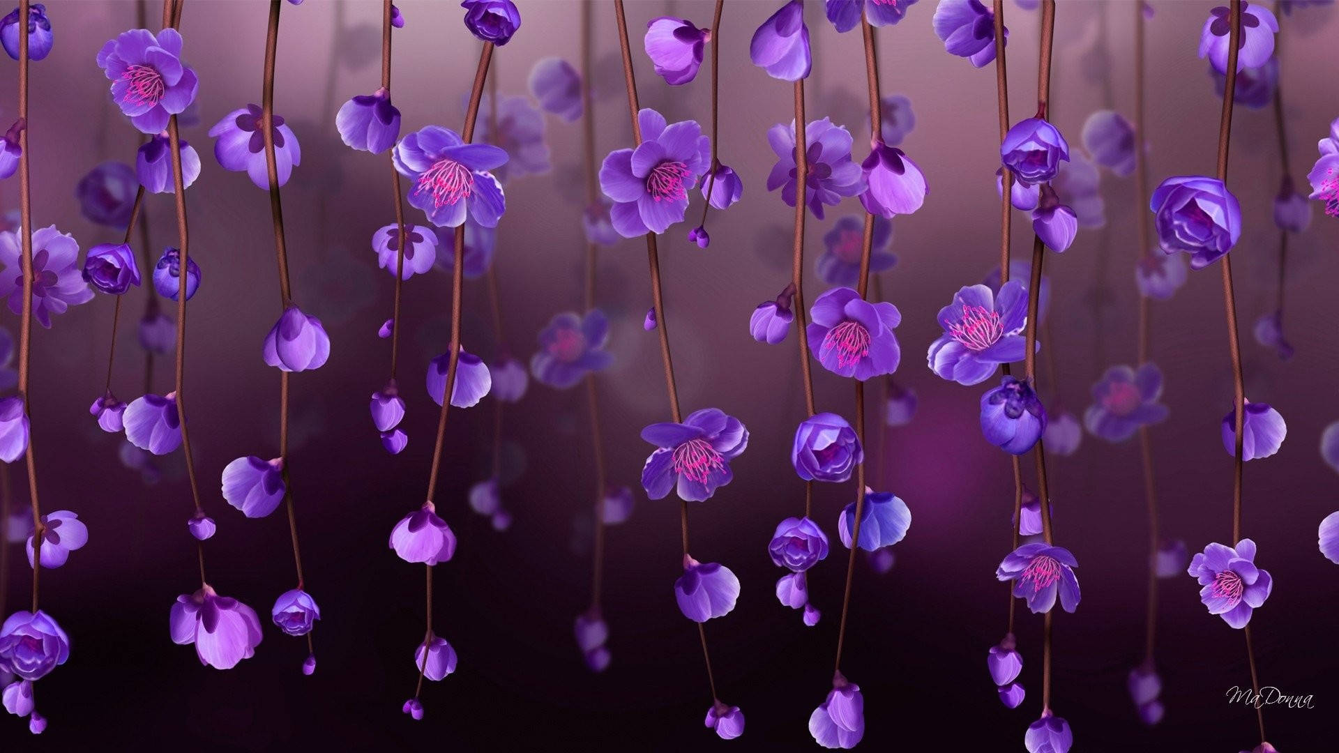 Purple Mini Flowers Background