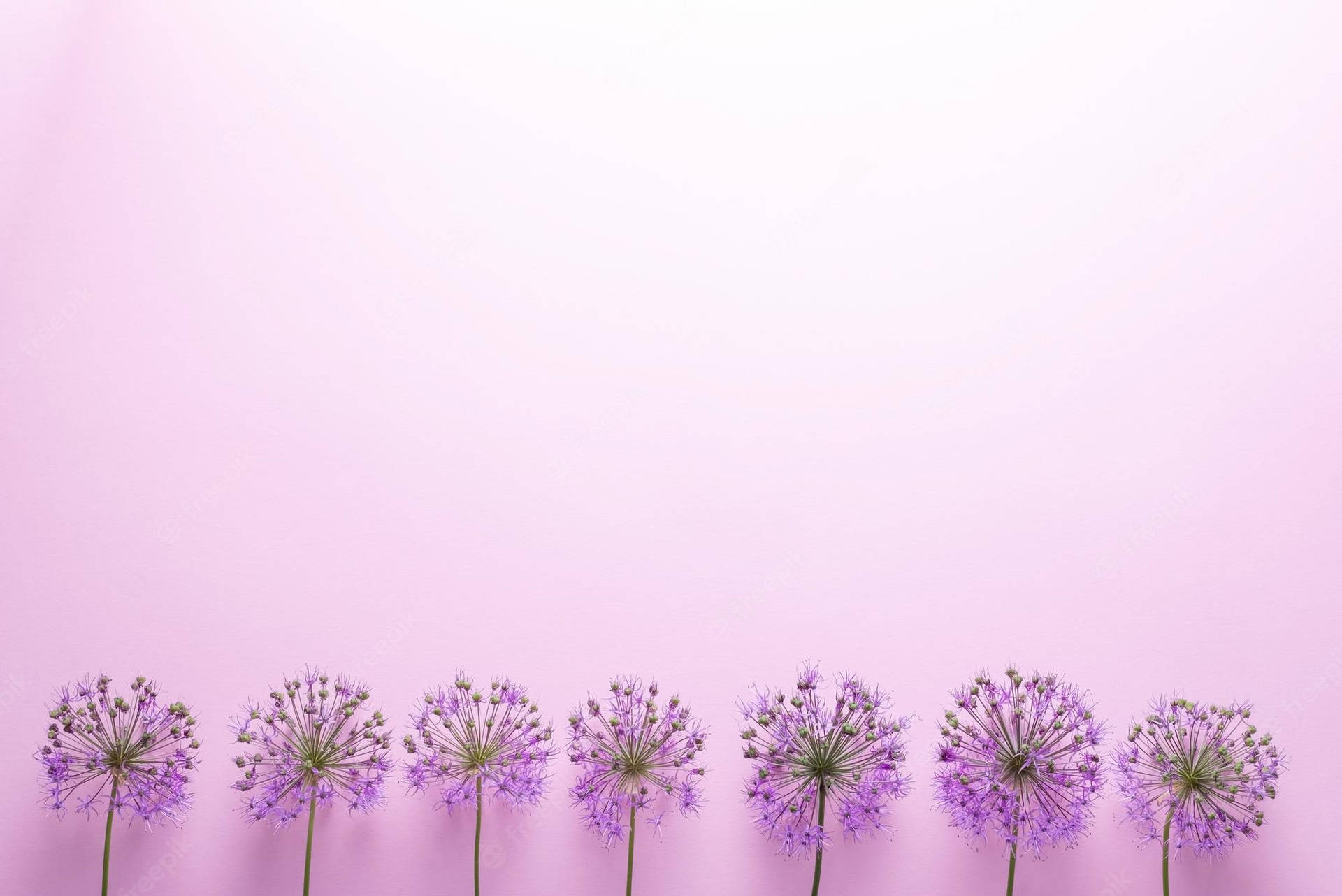 Purple Minimalist Flower Computer