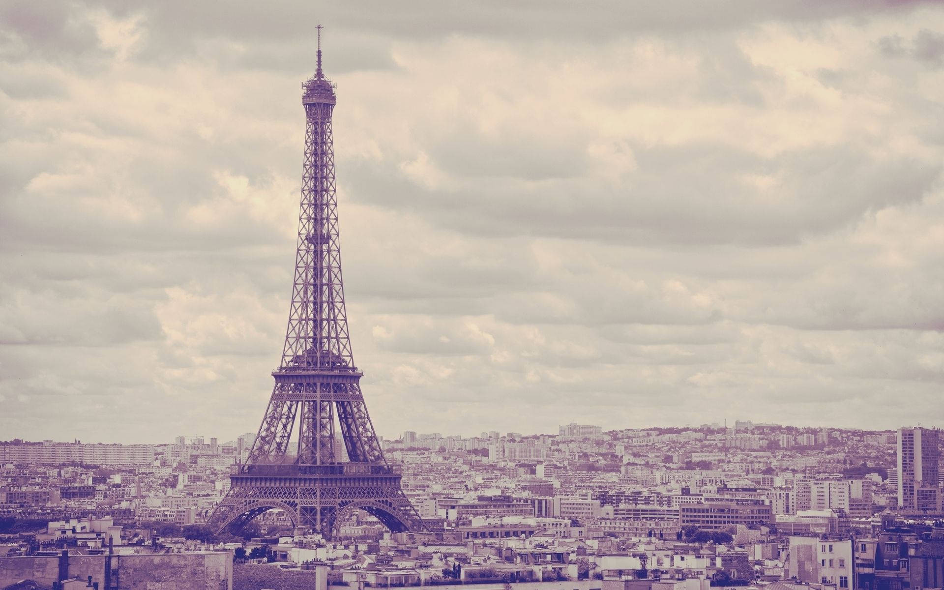 Purple Monochrome Eiffel Tower Paris Background