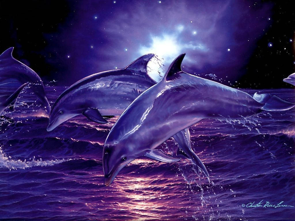 Purple Night Dolphins Background