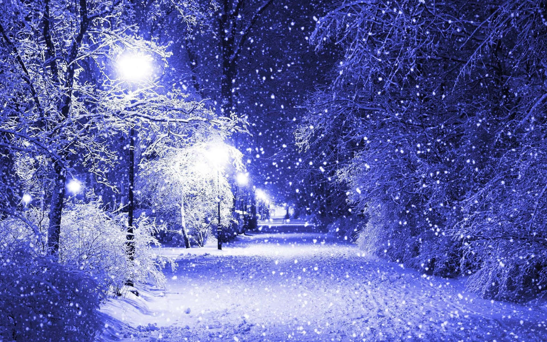 Purple Night Snowfall Background