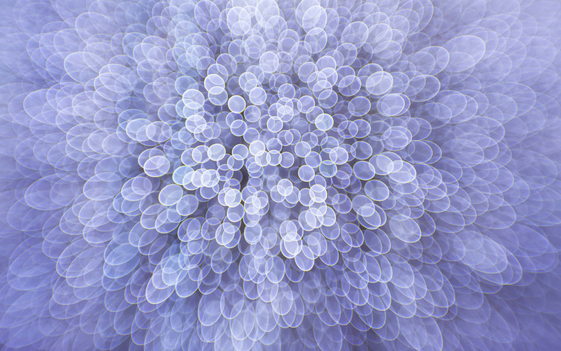 Purple Oblong Shape [wallpaper] Background