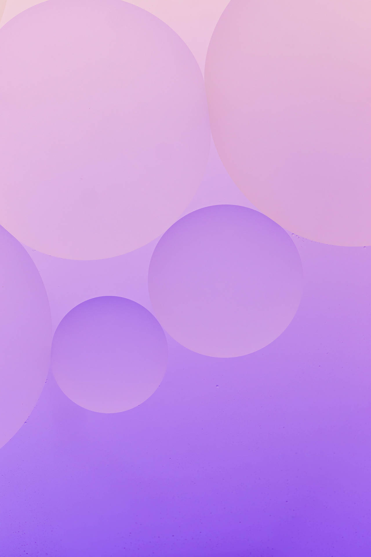 Purple Pastel Aesthetic Bubbles Background