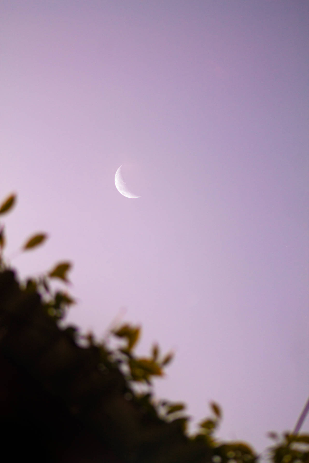 Purple Pastel Aesthetic Crescent Moon Background