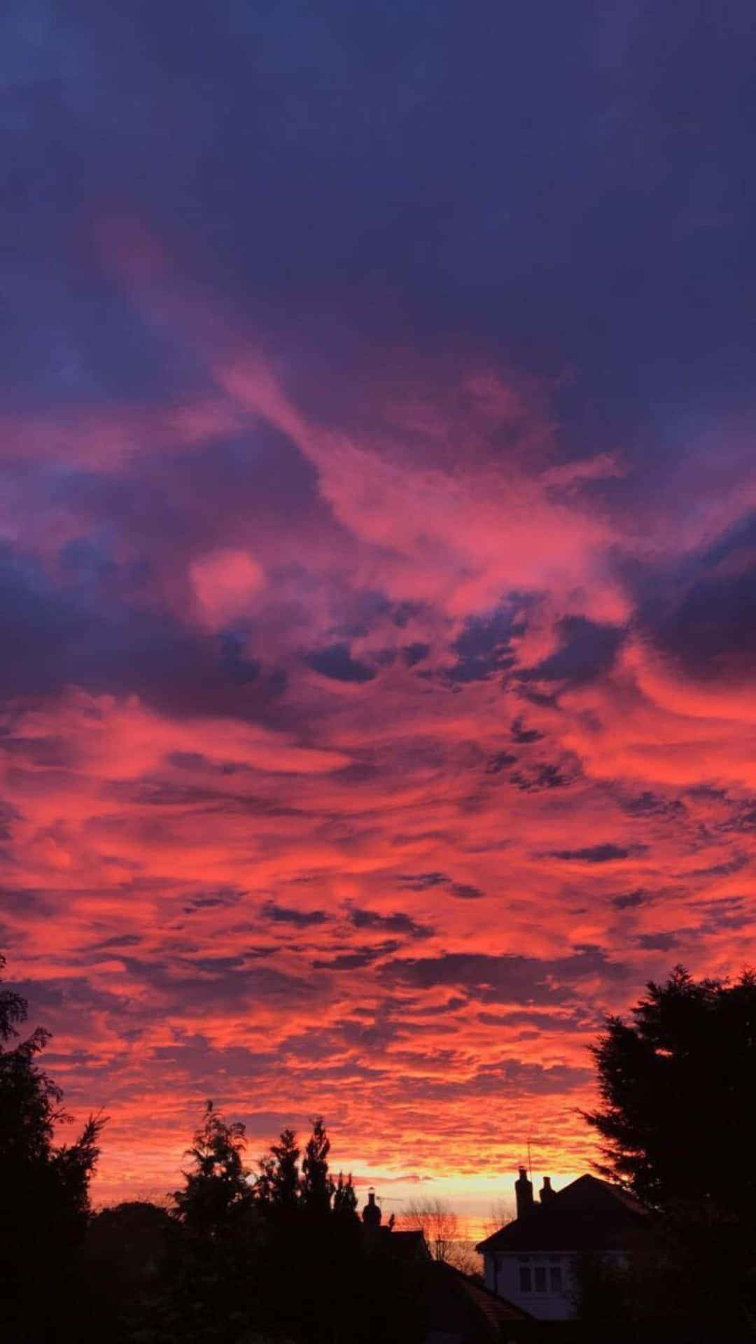 Purple Red Sunset Cloud