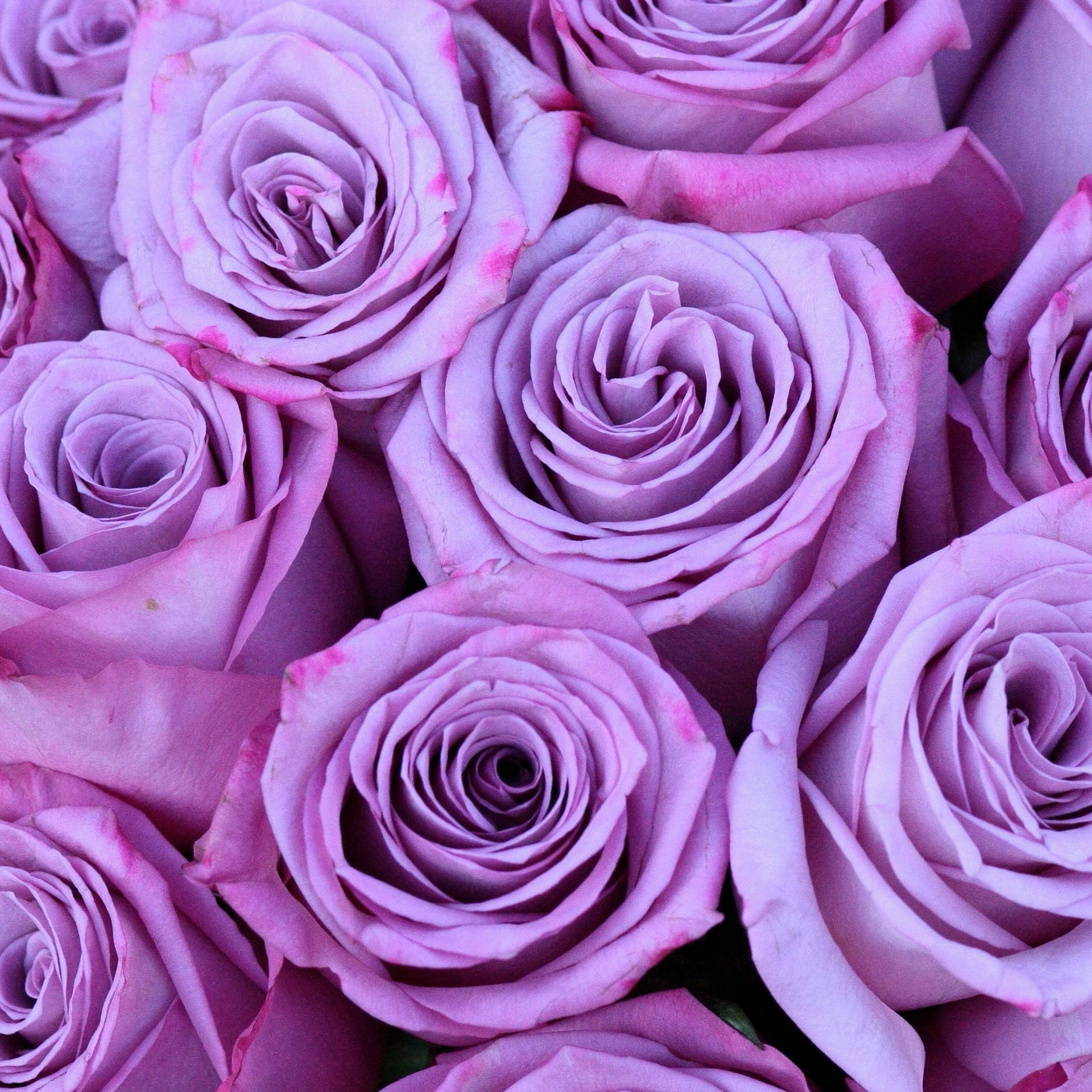 Purple Rose Flower Bouquet