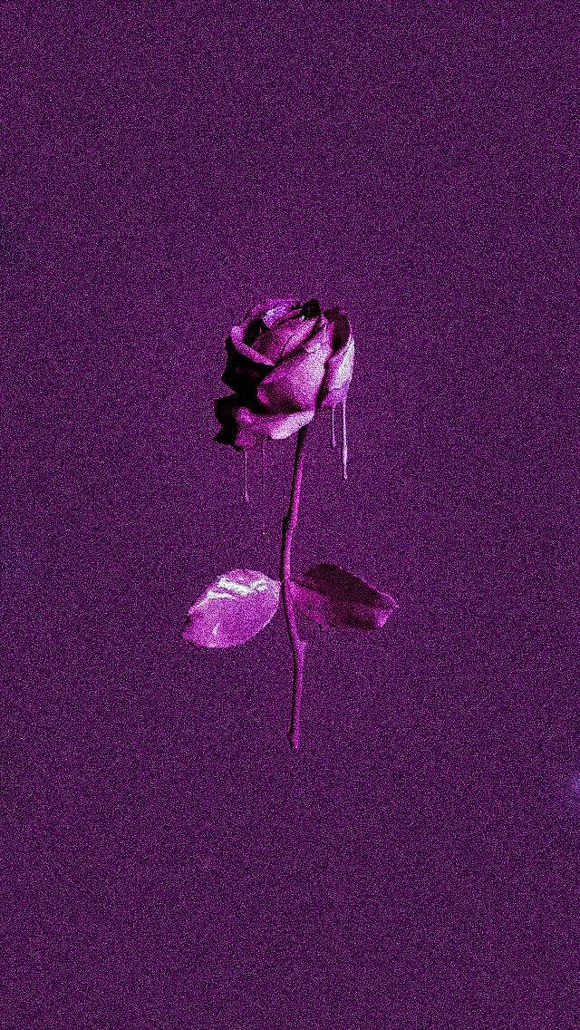 Purple Rose Grainy Drip Art Background