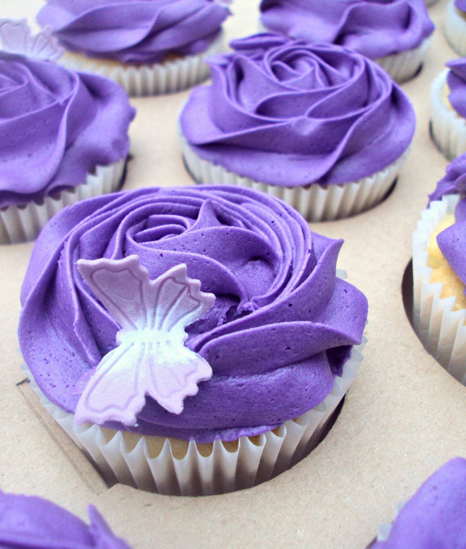 Purple Rose Themed Cupcakes Background