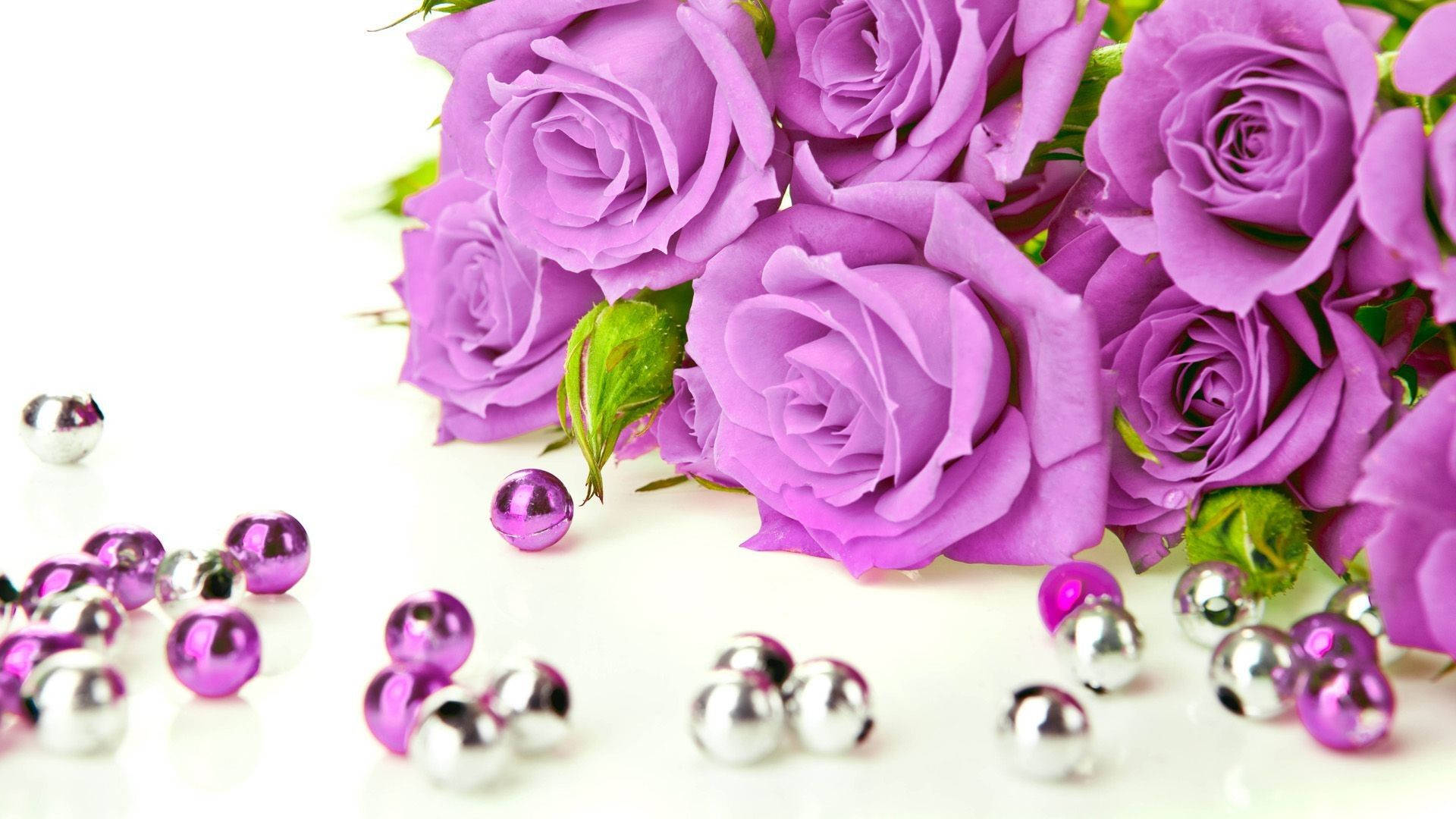 Purple Roses And Beads Background