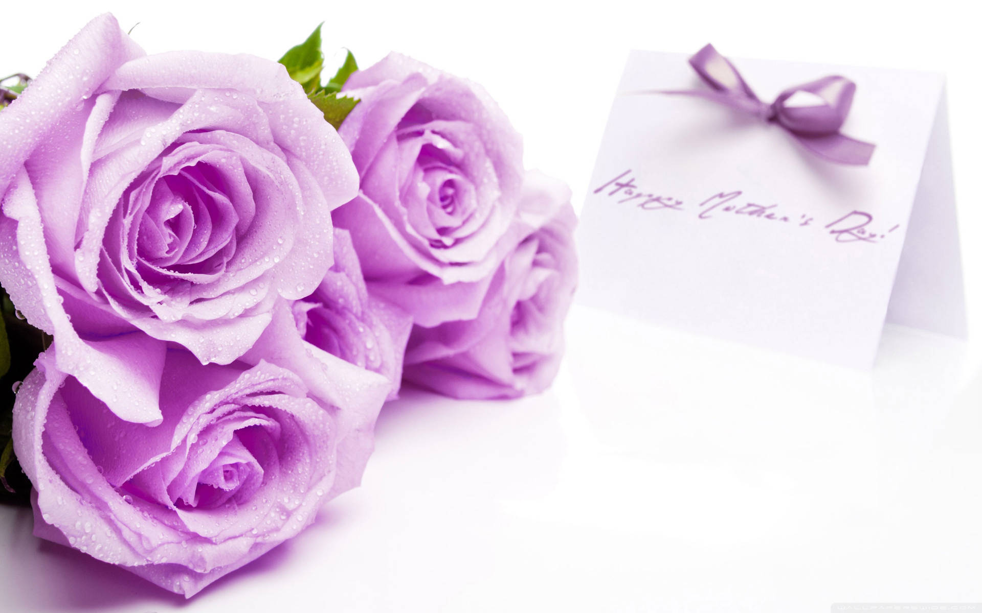 Purple Roses Happy Mothers Day Background