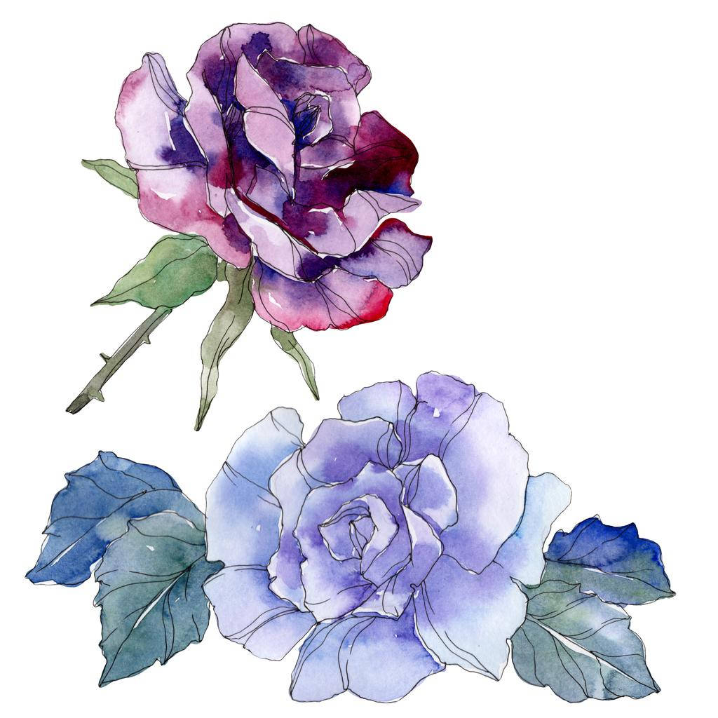 Purple Roses Vector Art Background