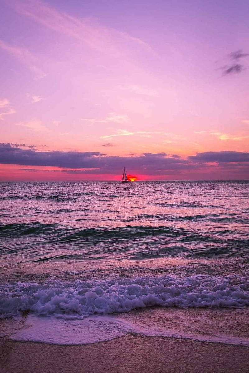 Purple Skies Florida Background