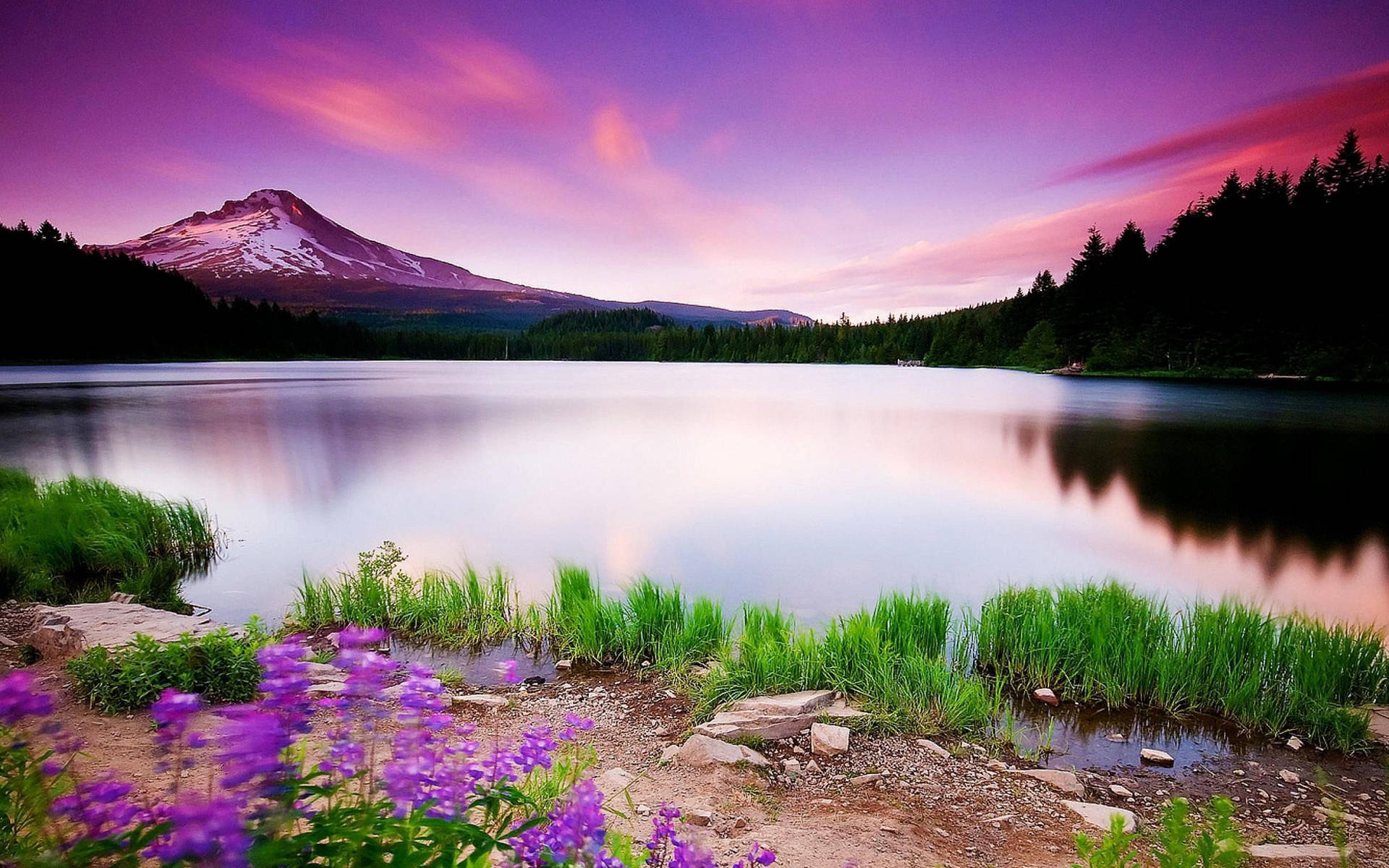 Purple Skies Scenery Background