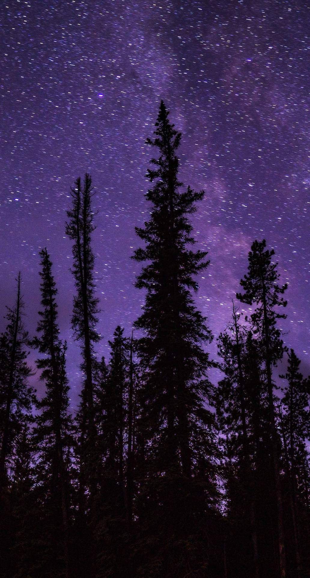 Purple Sky Galaxy And Trees Iphone Background