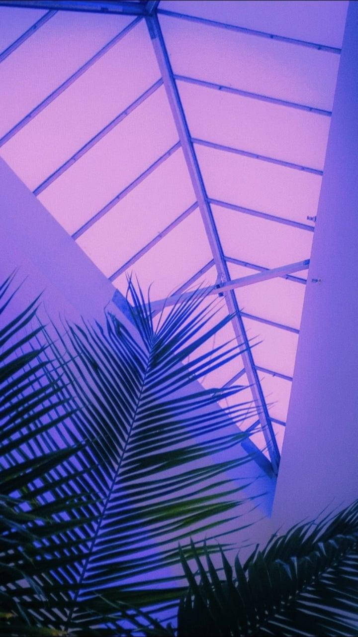 Purple Skylight Aesthetic Tumblr Background