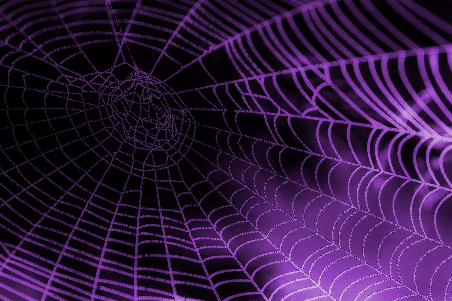 Purple Spider Web Background Background