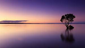 Purple Sunrise Over Lake Photo Background