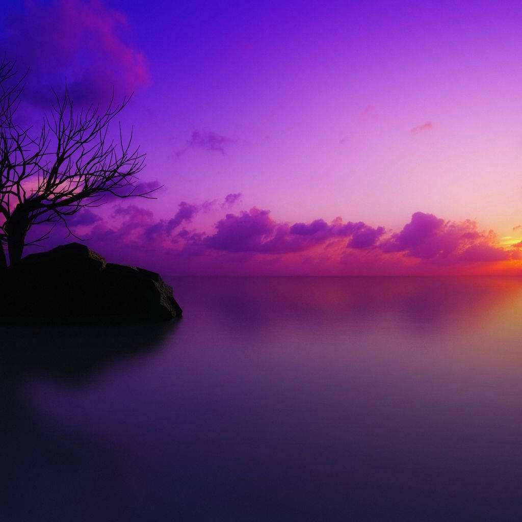 Purple Sunset Landscape Ipad Mini