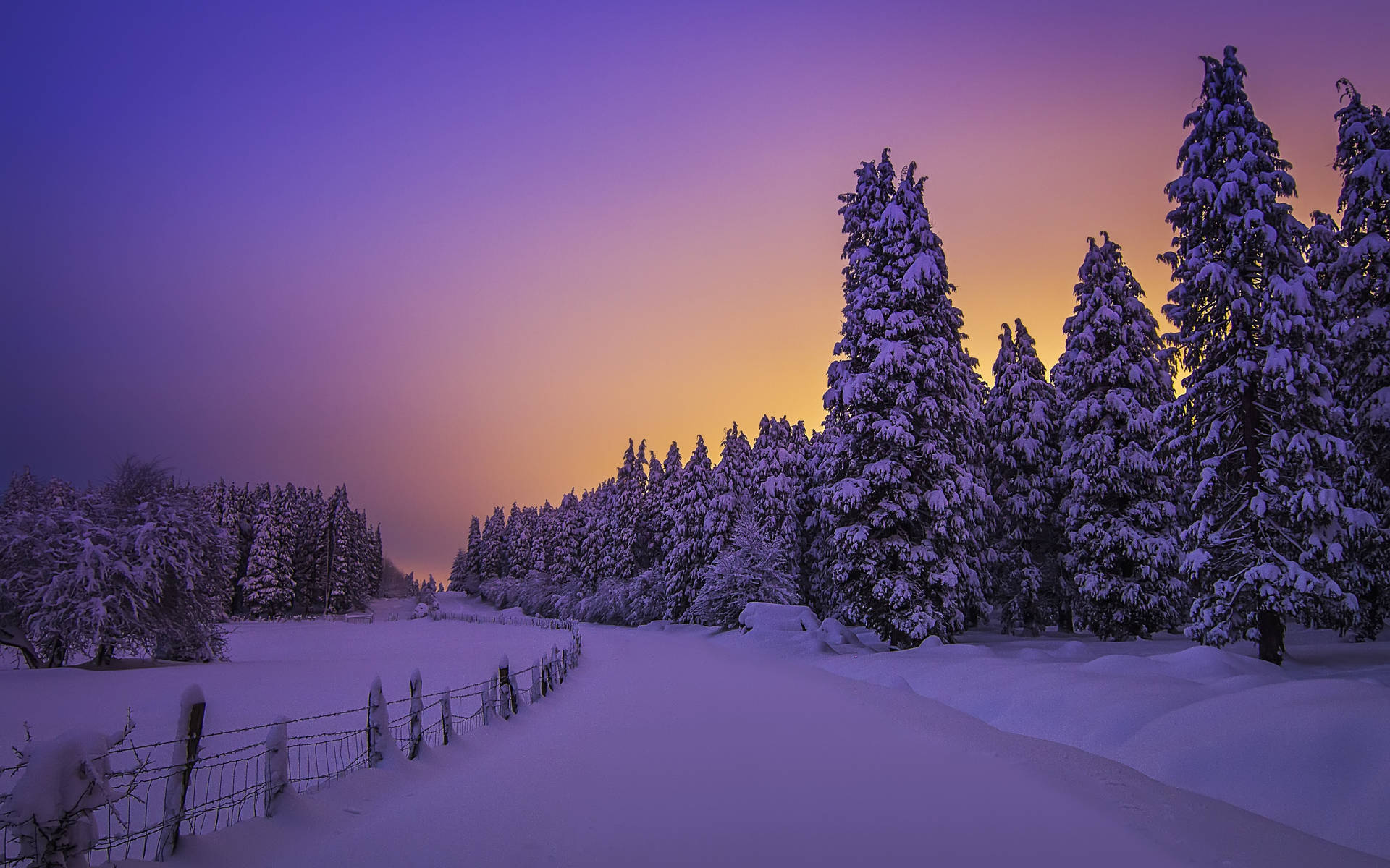 Purple Sunset Winter Aesthetic Background