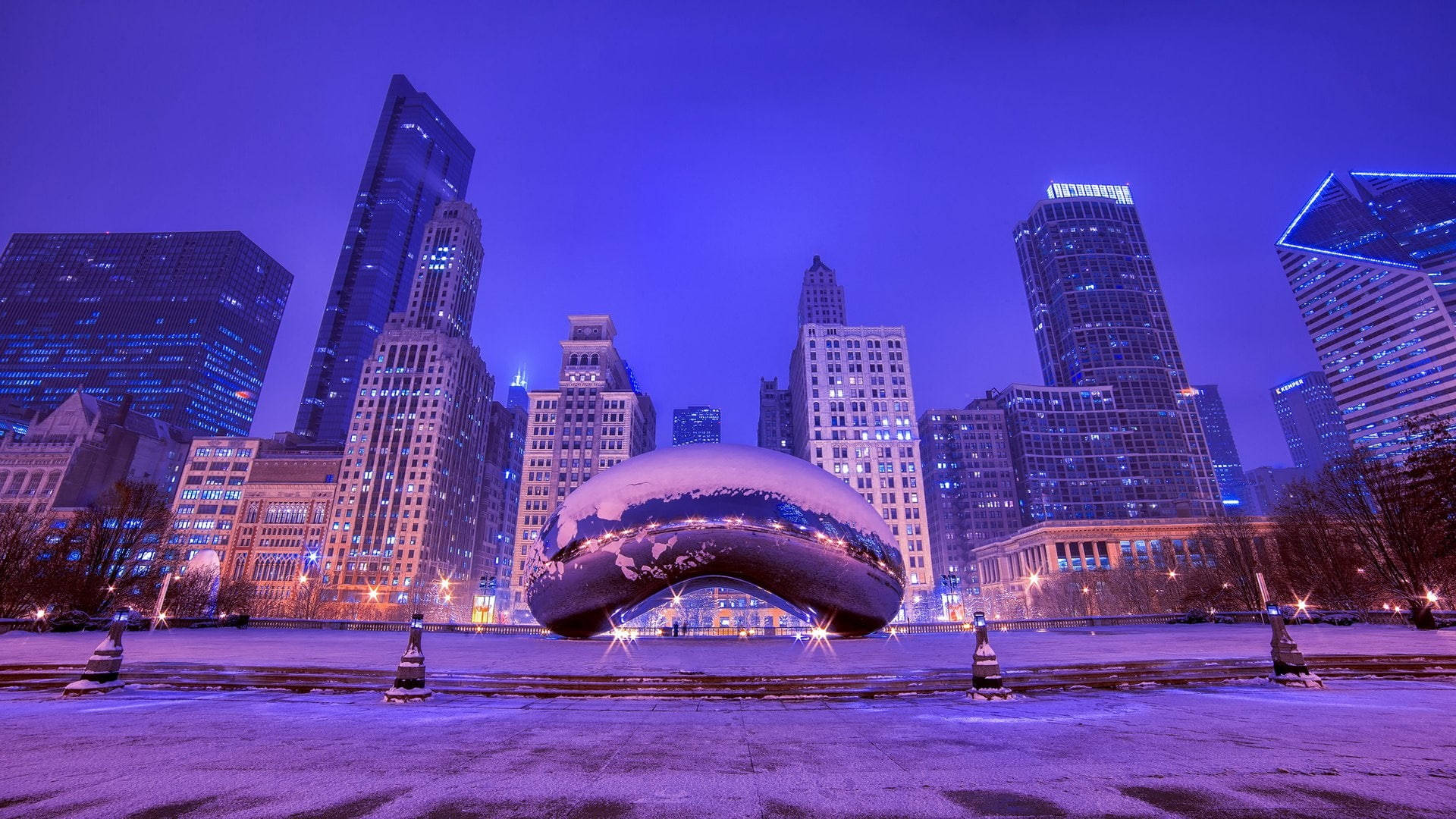 Purple The Bean Chicago