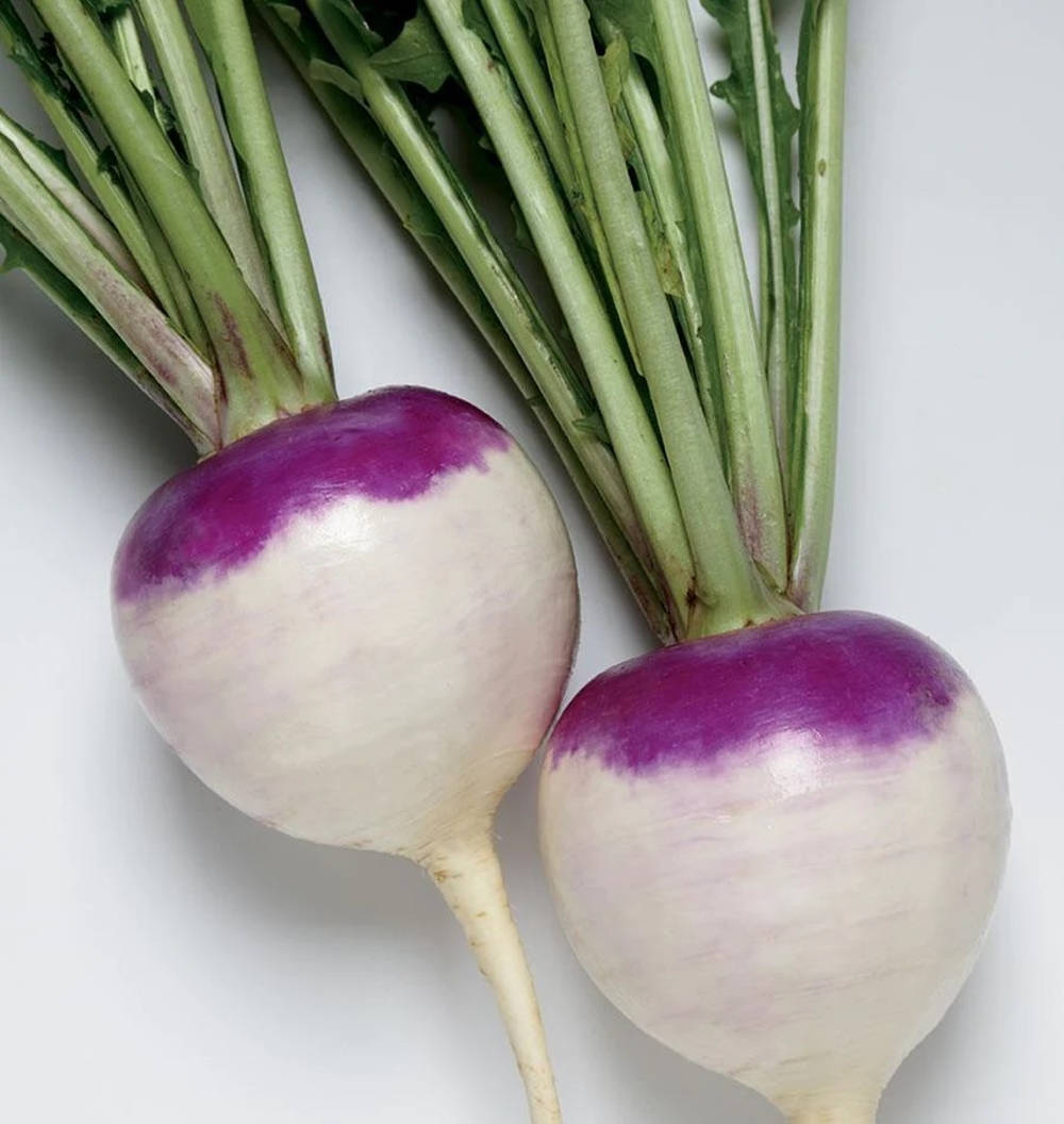 Purple Top Turnips In White Background