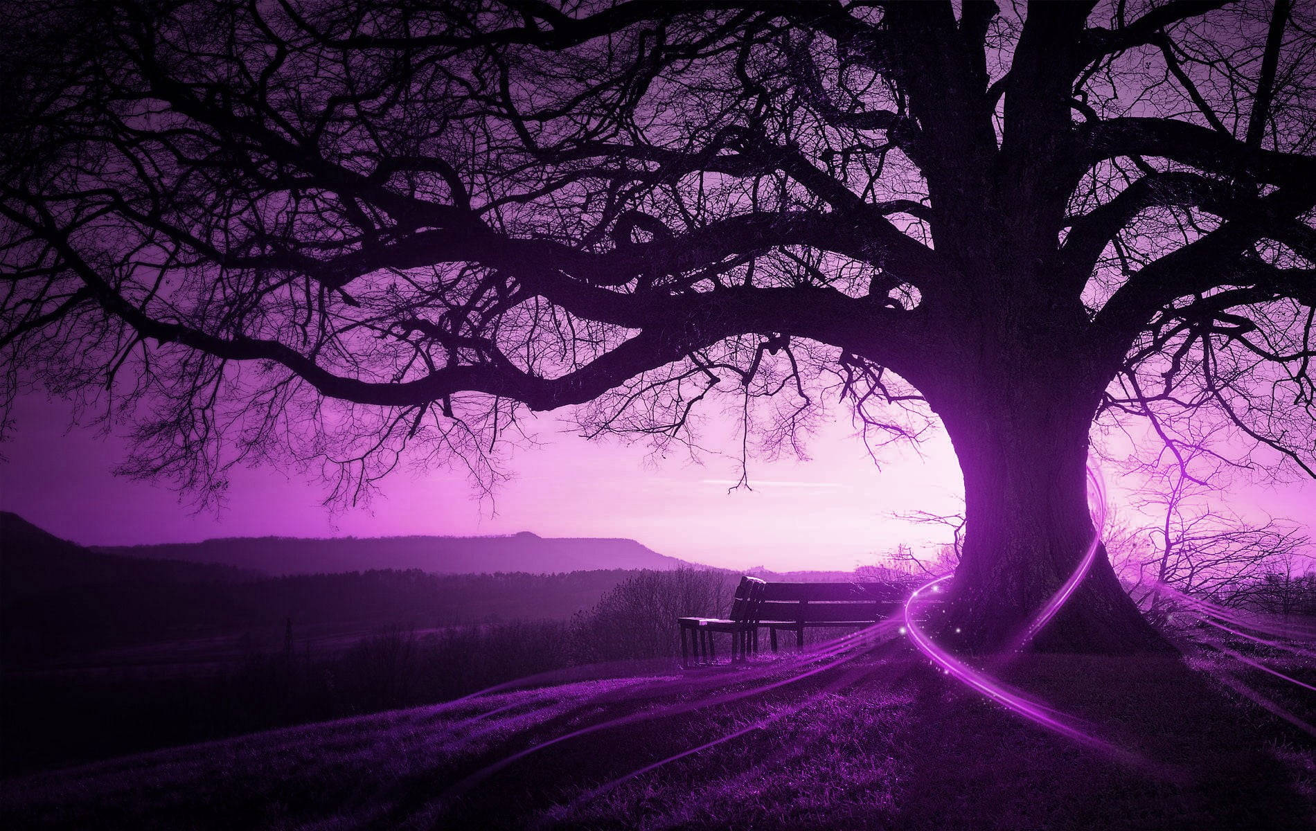 Purple Tree In Purple Sky