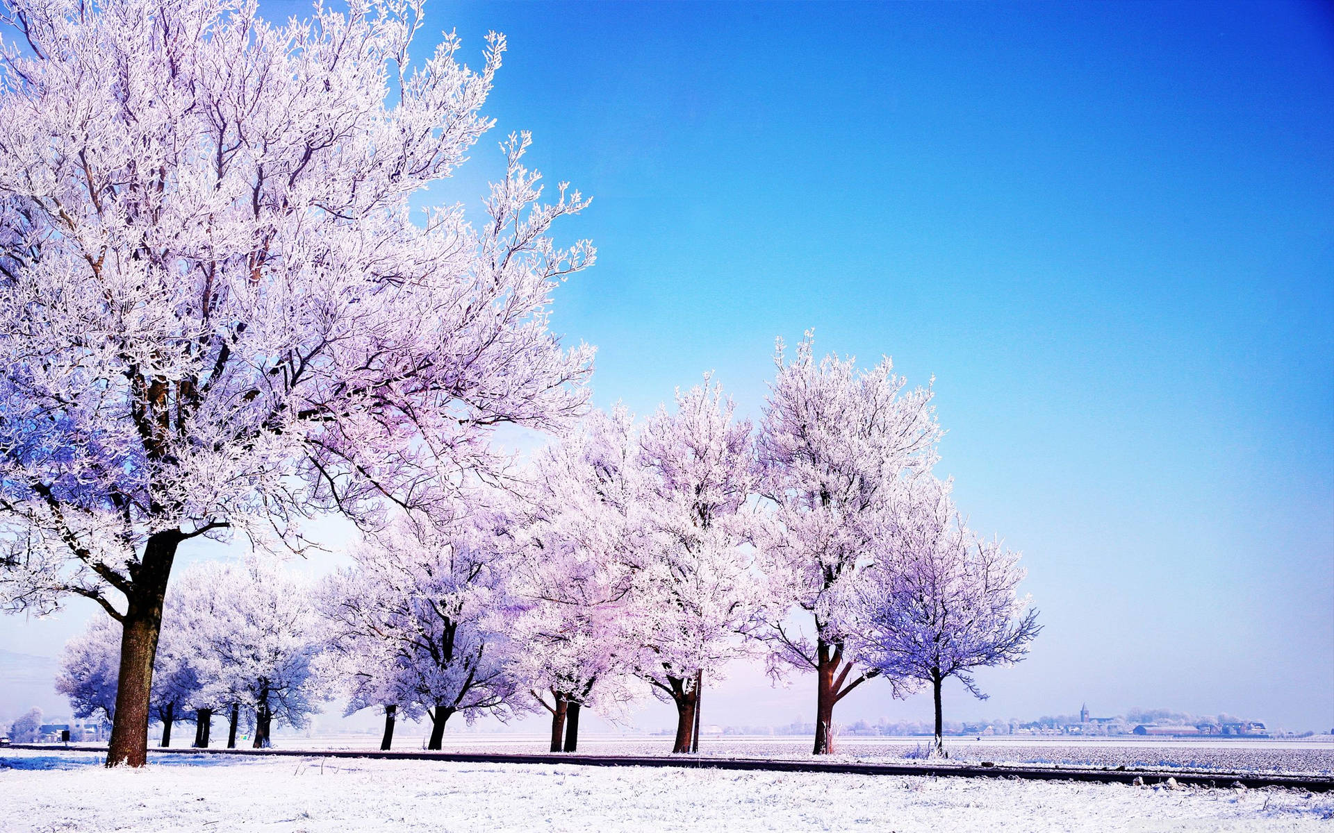 Purple Trees In Winter Background