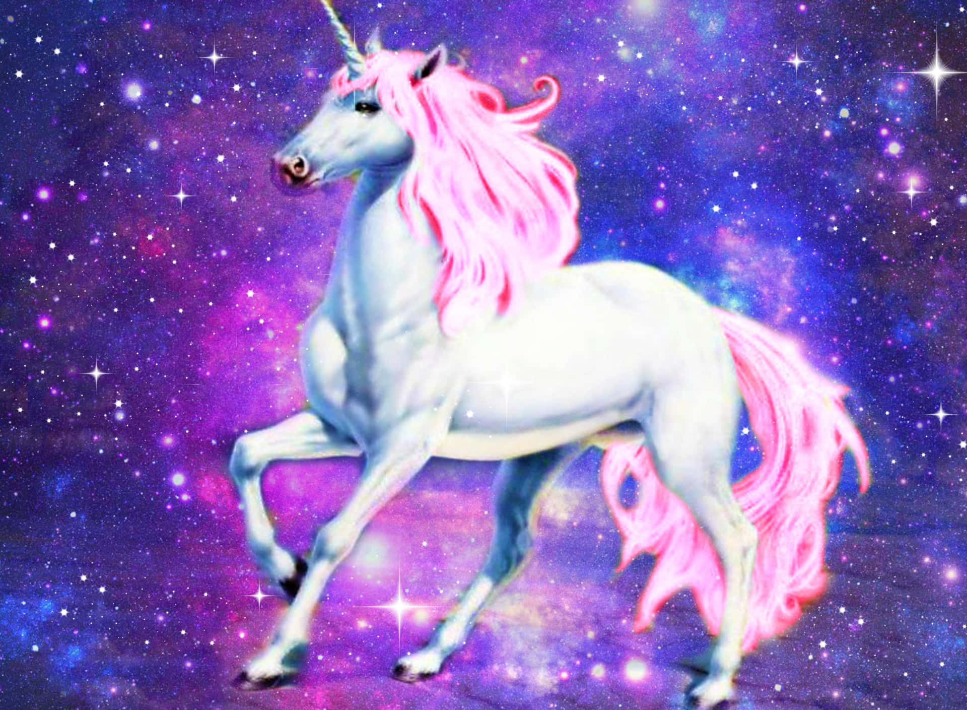 Purple Unicorn With Pink Mane Background