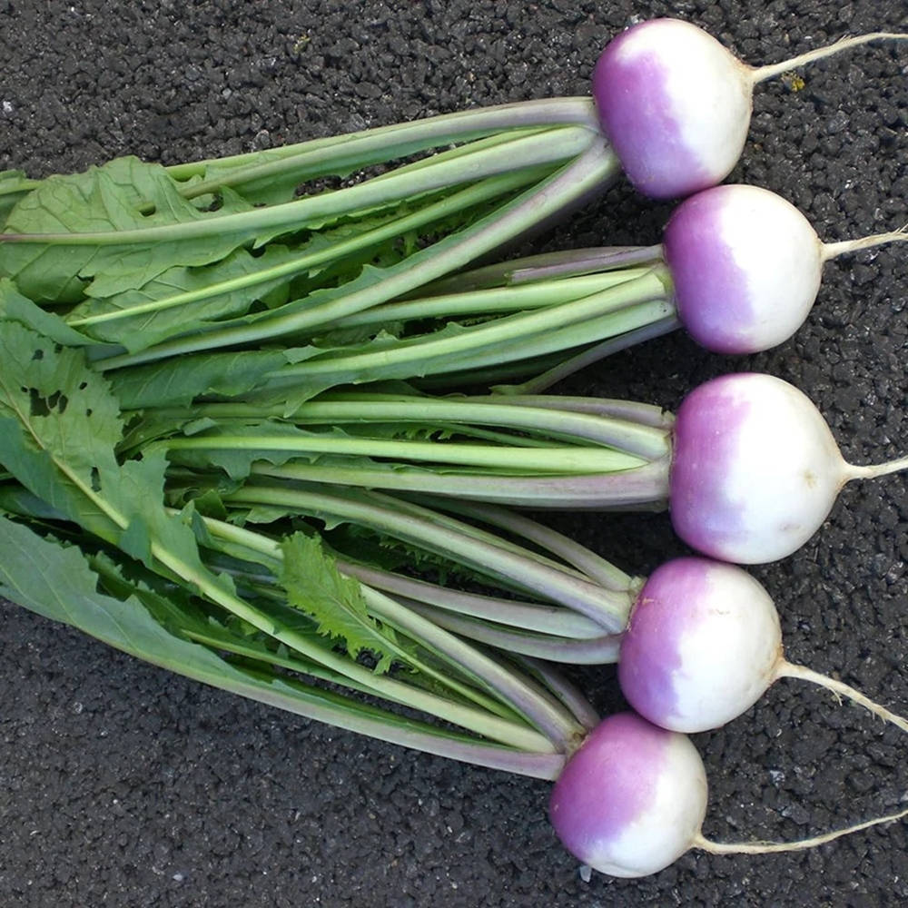 Purple Vegetable Turnips With Leaves Background