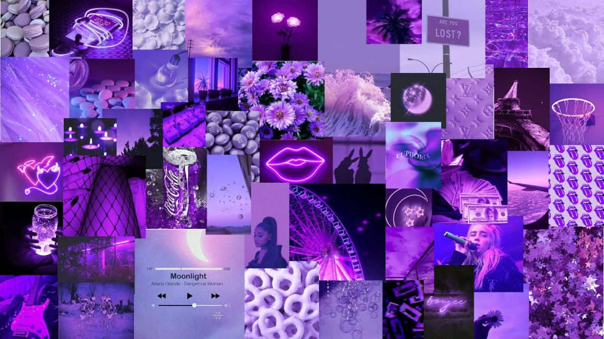 Purple Wallpapers, Purple Wallpapers, Purple Wallpapers, Purple Wallpapers, Purple Wallpapers, Purple Wallpapers