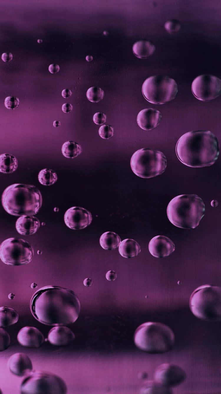 Purple Water Drops On A Black Background