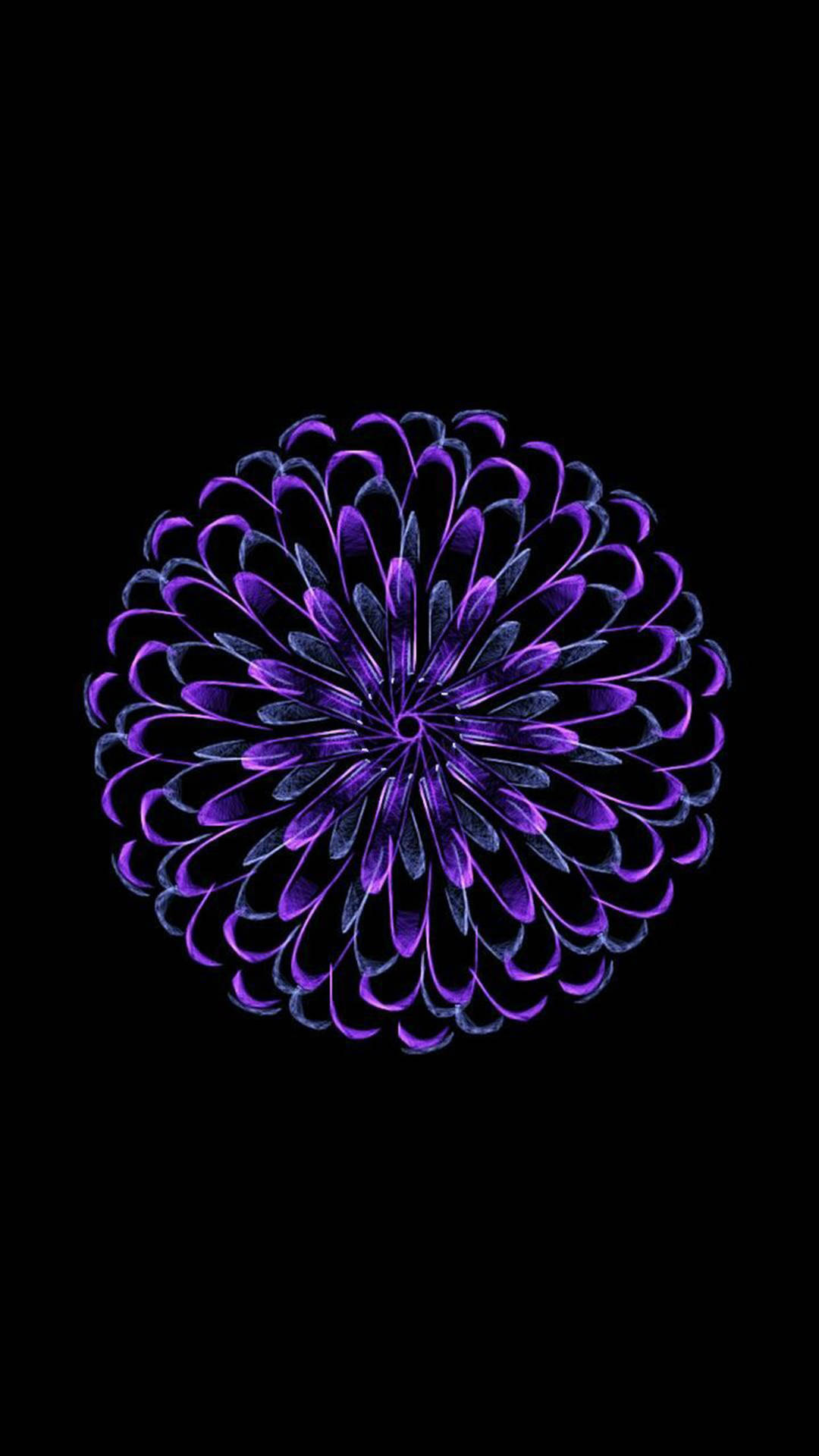 Purple Zinnia Flower Apple Background
